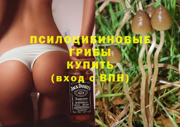 прущие грибы Вяземский