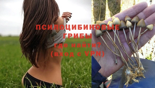 марихуана Вязьма