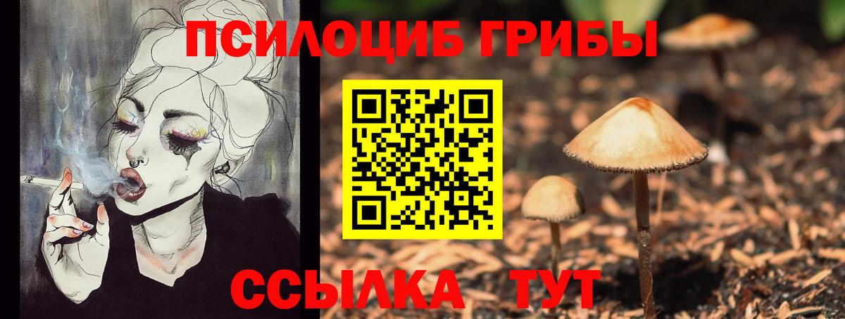 Галлюциногенные грибы Cubensis Глазов